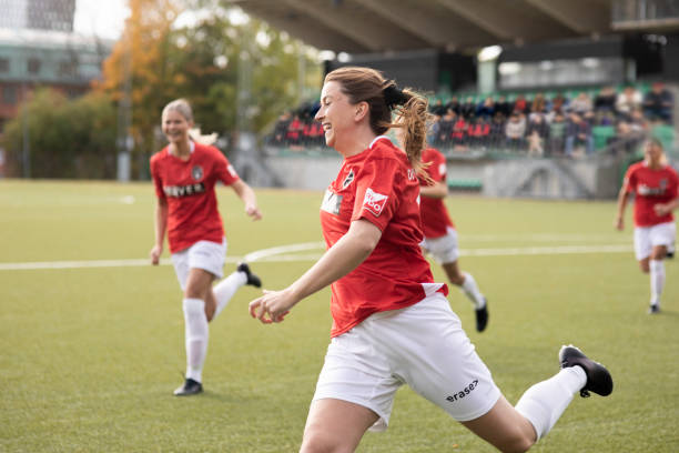 多经验丰富 多经验丰富